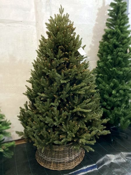 Елка "Непал"